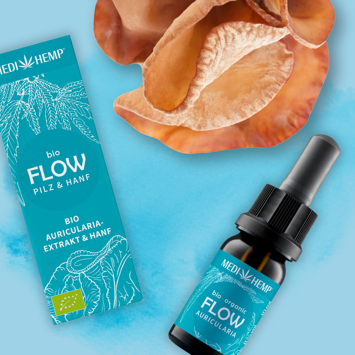 Bio FLOW Auricularia-Extrakt & Hanf