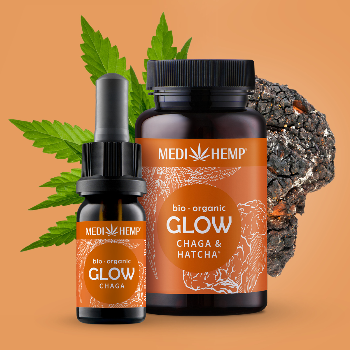 Bio GLOW Chaga-Extrakt & Hanf