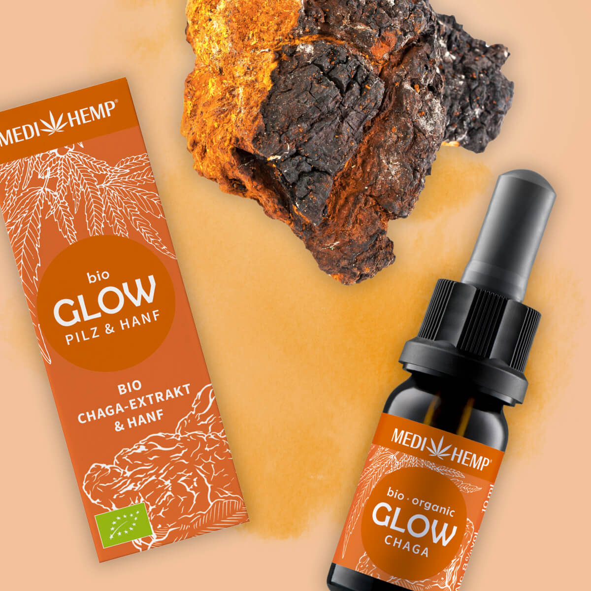 Bio GLOW Chaga-Extrakt & Hanf