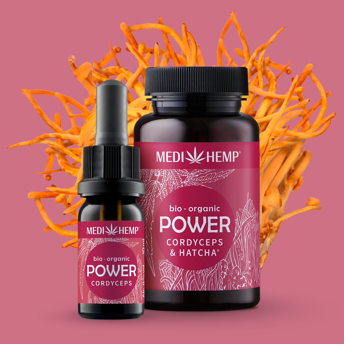 Bio POWER Cordyceps militiaris & Hanf