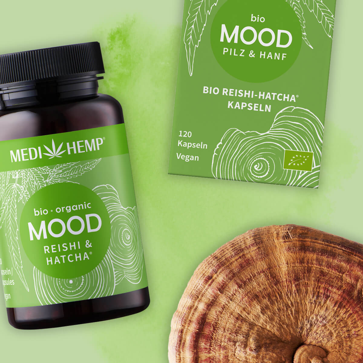 Bio Mood Reishi Kapseln