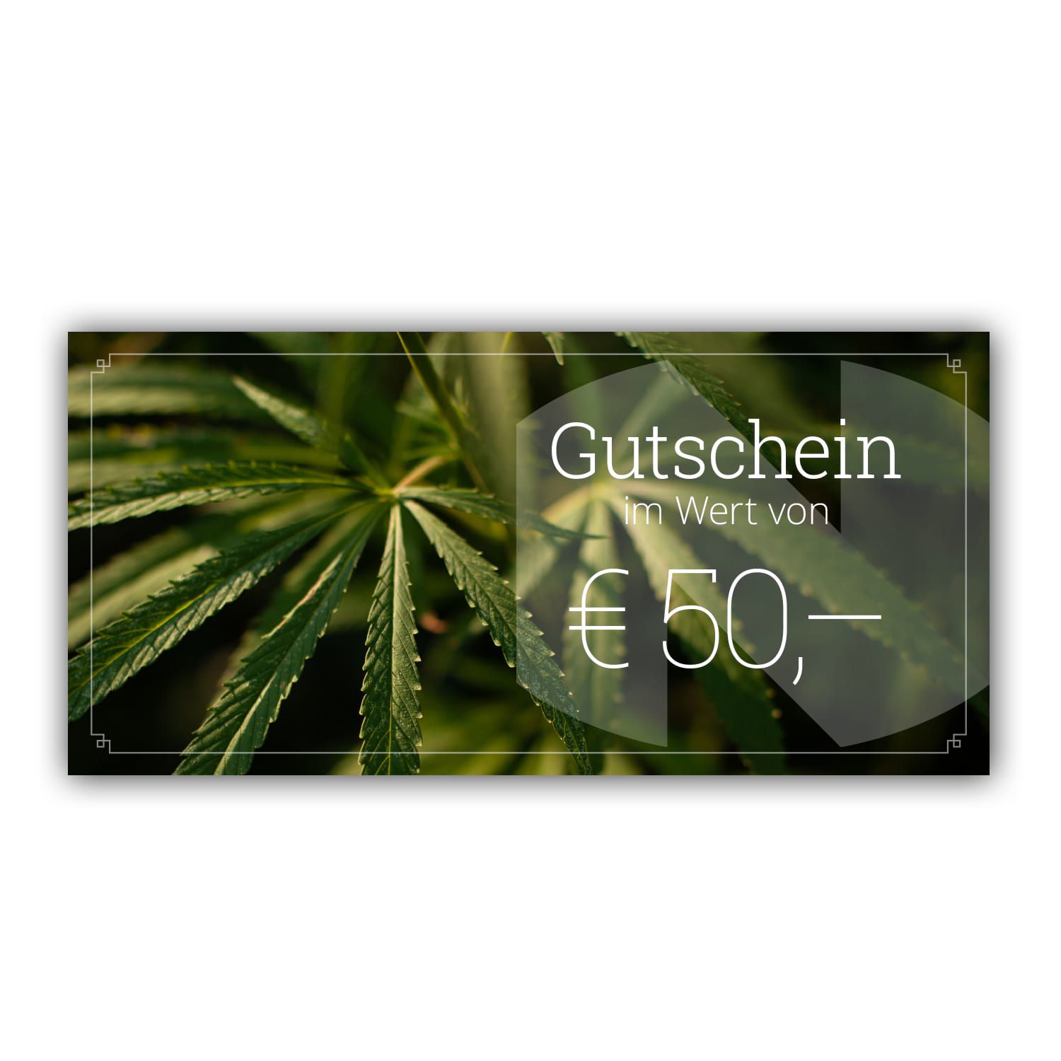 MEDIHEMP Gutschein 50 Euro